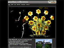 Tablet Screenshot of guzelian.photium.com